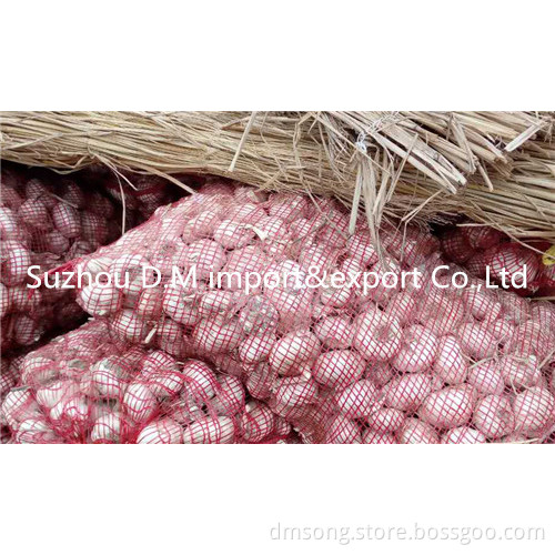 Packing garlic in mesh bag